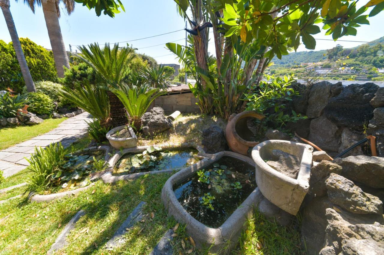 Villa Stefania Barano dʼIschia Exterior foto
