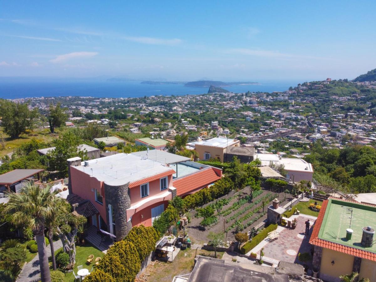 Villa Stefania Barano dʼIschia Exterior foto